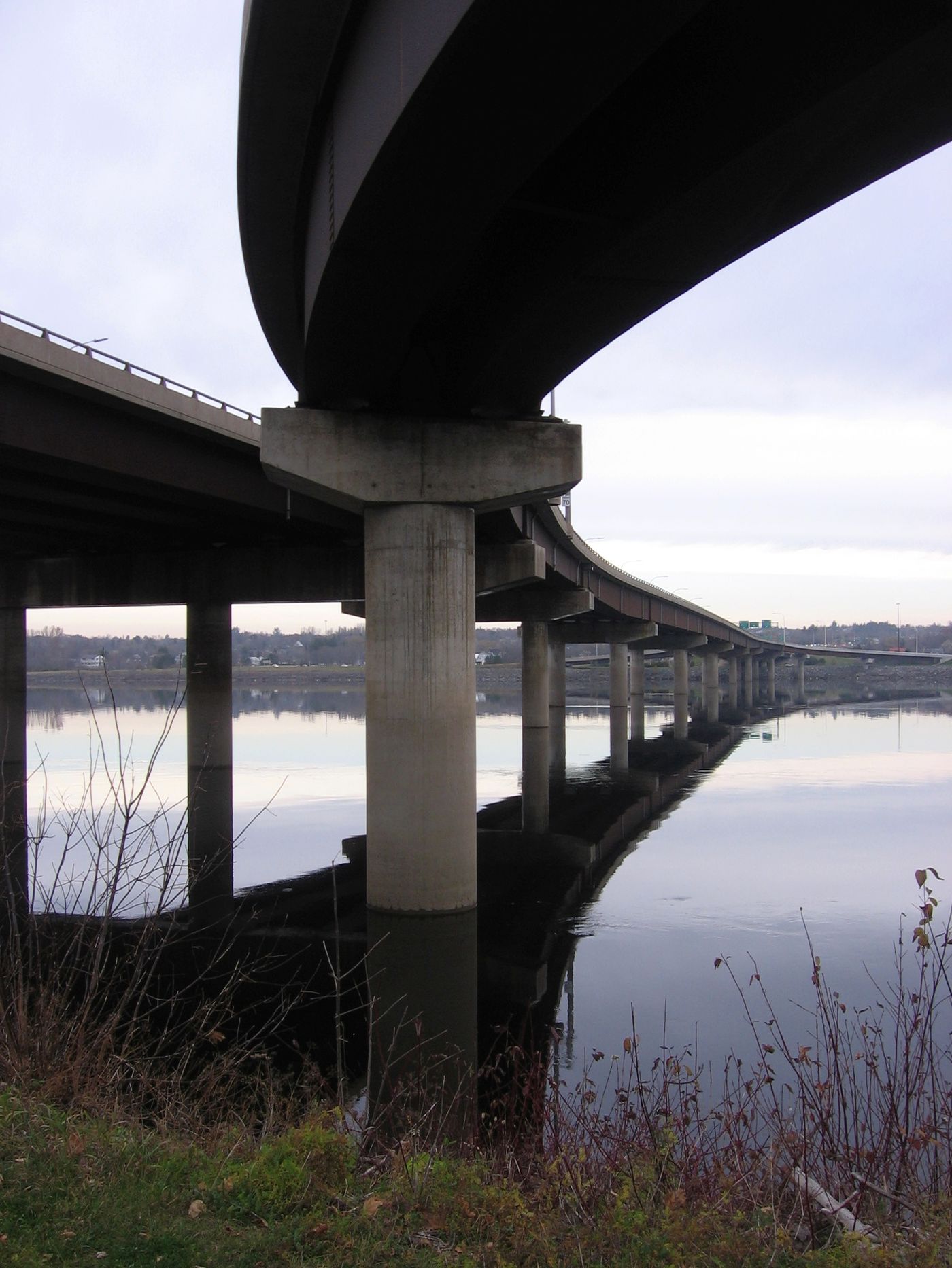 The Westmorland Street Bridge from the riverbank below